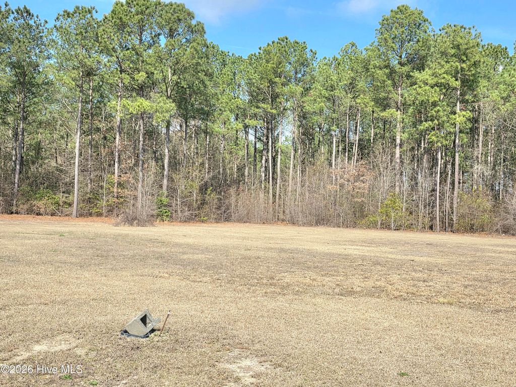 Photo of 290 Raynor Sands Drive, Dunn, NC 28334 (MLS # 100558903)