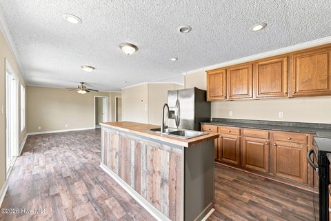Tiny photo for 123 Hoffman Forest Road, Richlands, NC 28574 (MLS # 100591158)