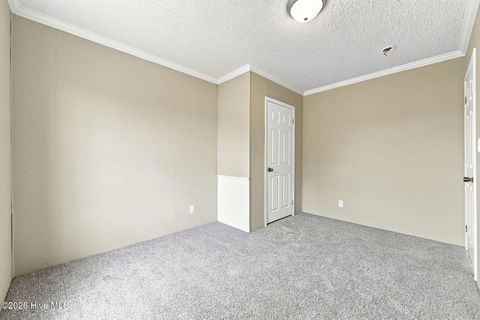 Tiny photo for 123 Hoffman Forest Road, Richlands, NC 28574 (MLS # 100591158)