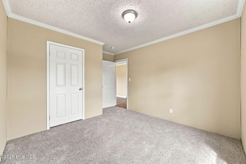 Tiny photo for 123 Hoffman Forest Road, Richlands, NC 28574 (MLS # 100591158)