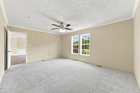 Tiny photo for 123 Hoffman Forest Road, Richlands, NC 28574 (MLS # 100591158)