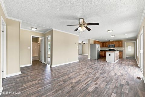 Tiny photo for 123 Hoffman Forest Road, Richlands, NC 28574 (MLS # 100591158)