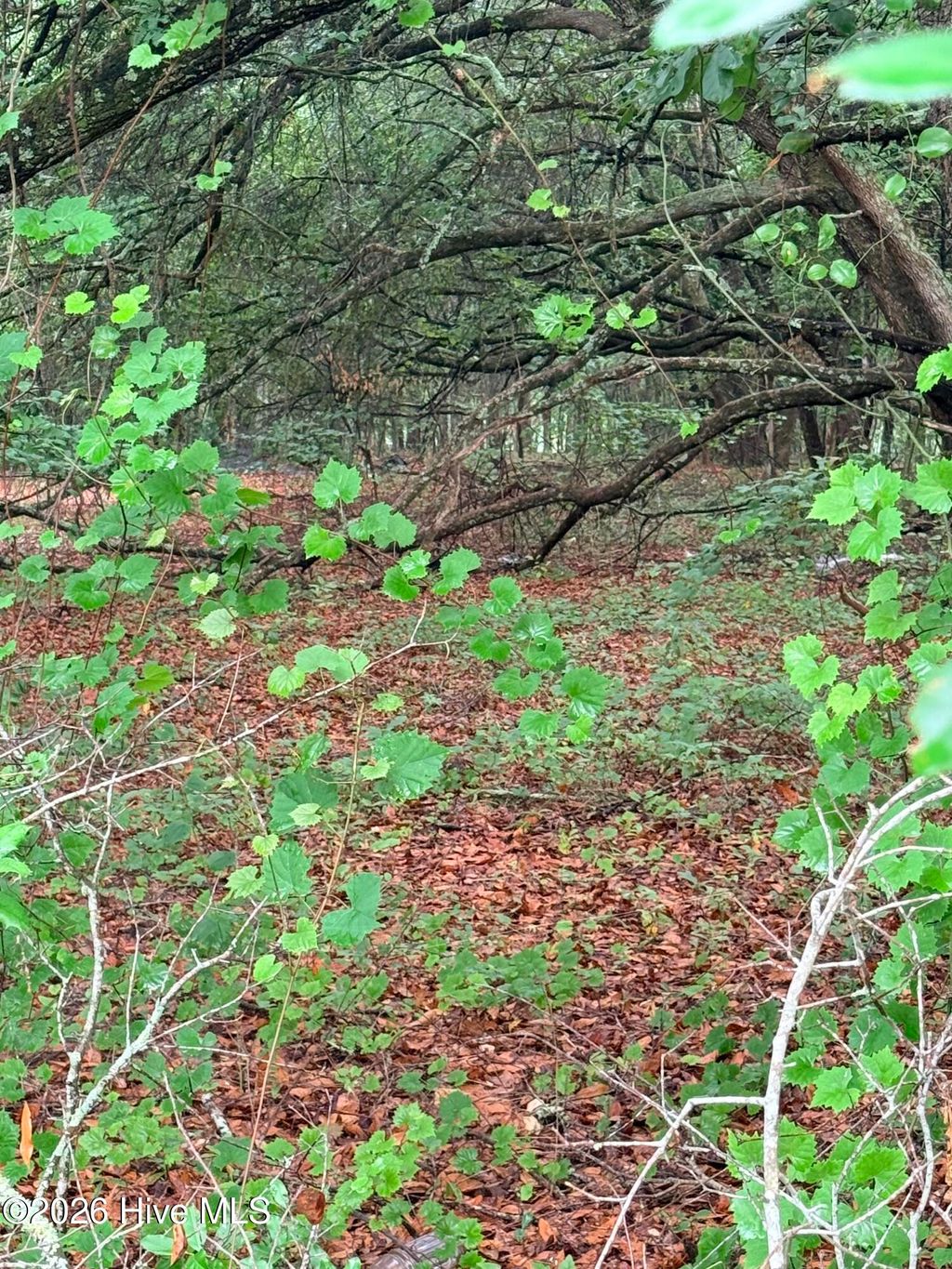 Photo of 0 Alma Drive, North, SC 29112 (MLS # 100576432)