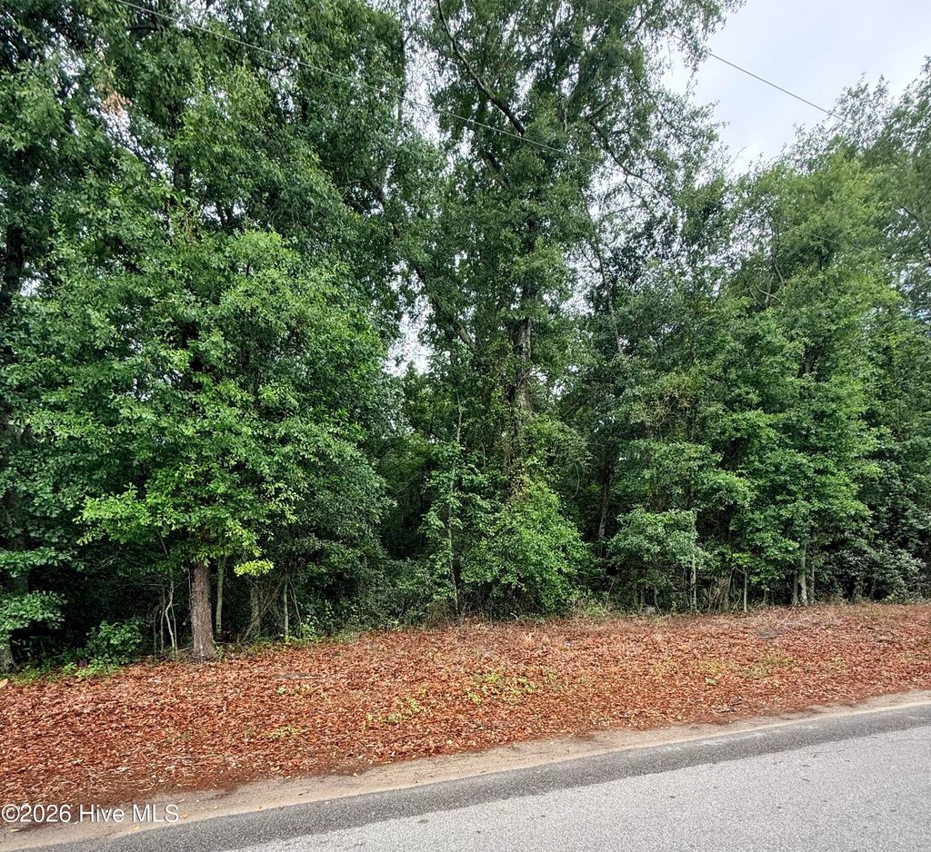 Photo of 0 Alma Drive, North, SC 29112 (MLS # 100576432)