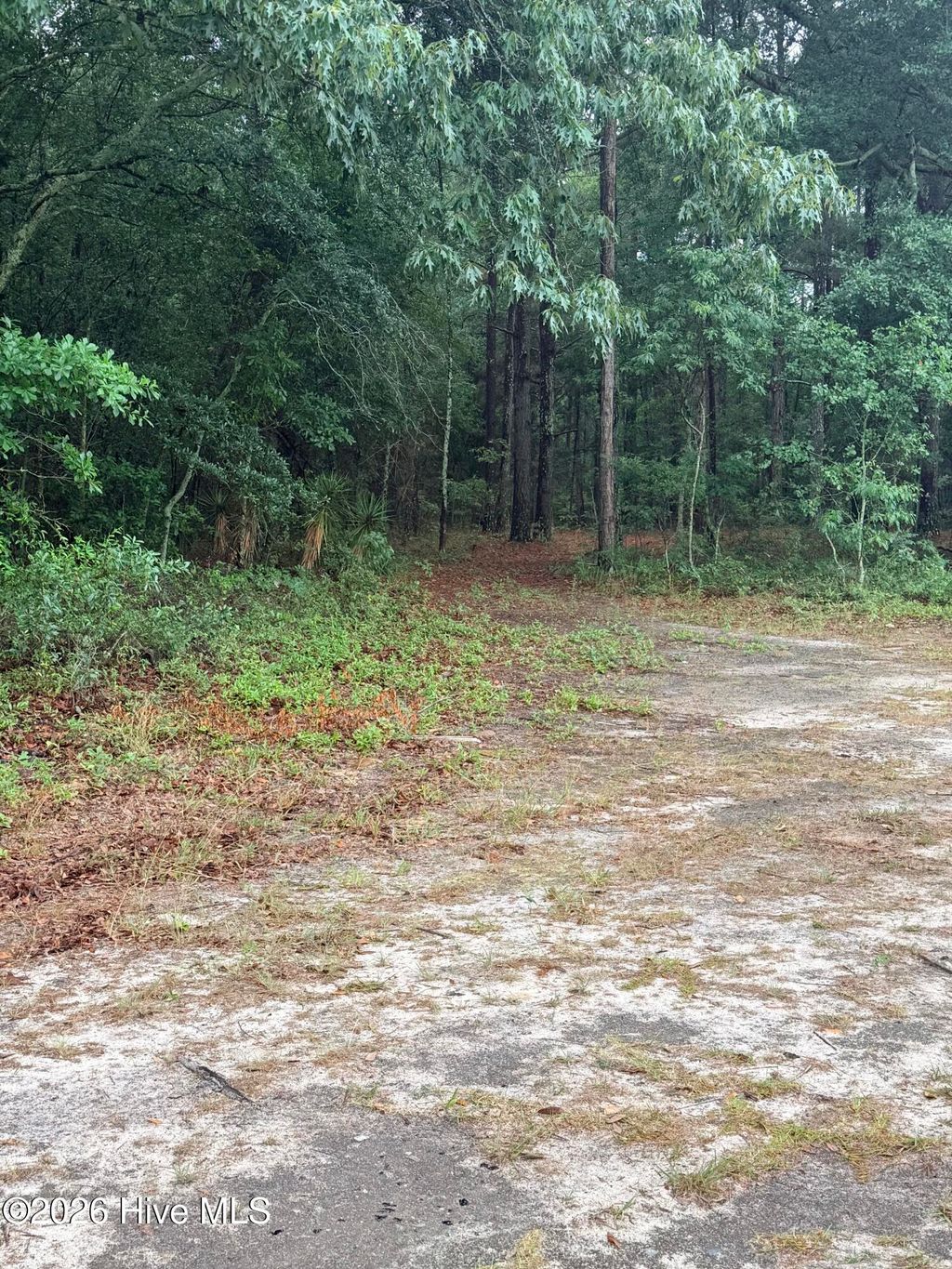 Photo of 0 Alma Drive, North, SC 29112 (MLS # 100576432)