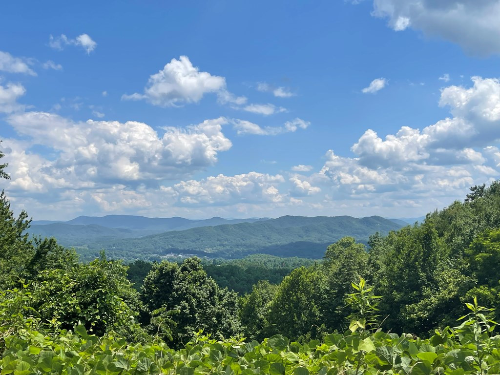 2401 E US 64 Alt