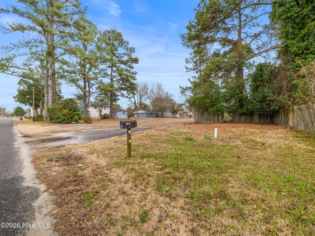 Photo of 2307 Mckinley Avenue, New Bern, NC 28562 (MLS # 100551478)