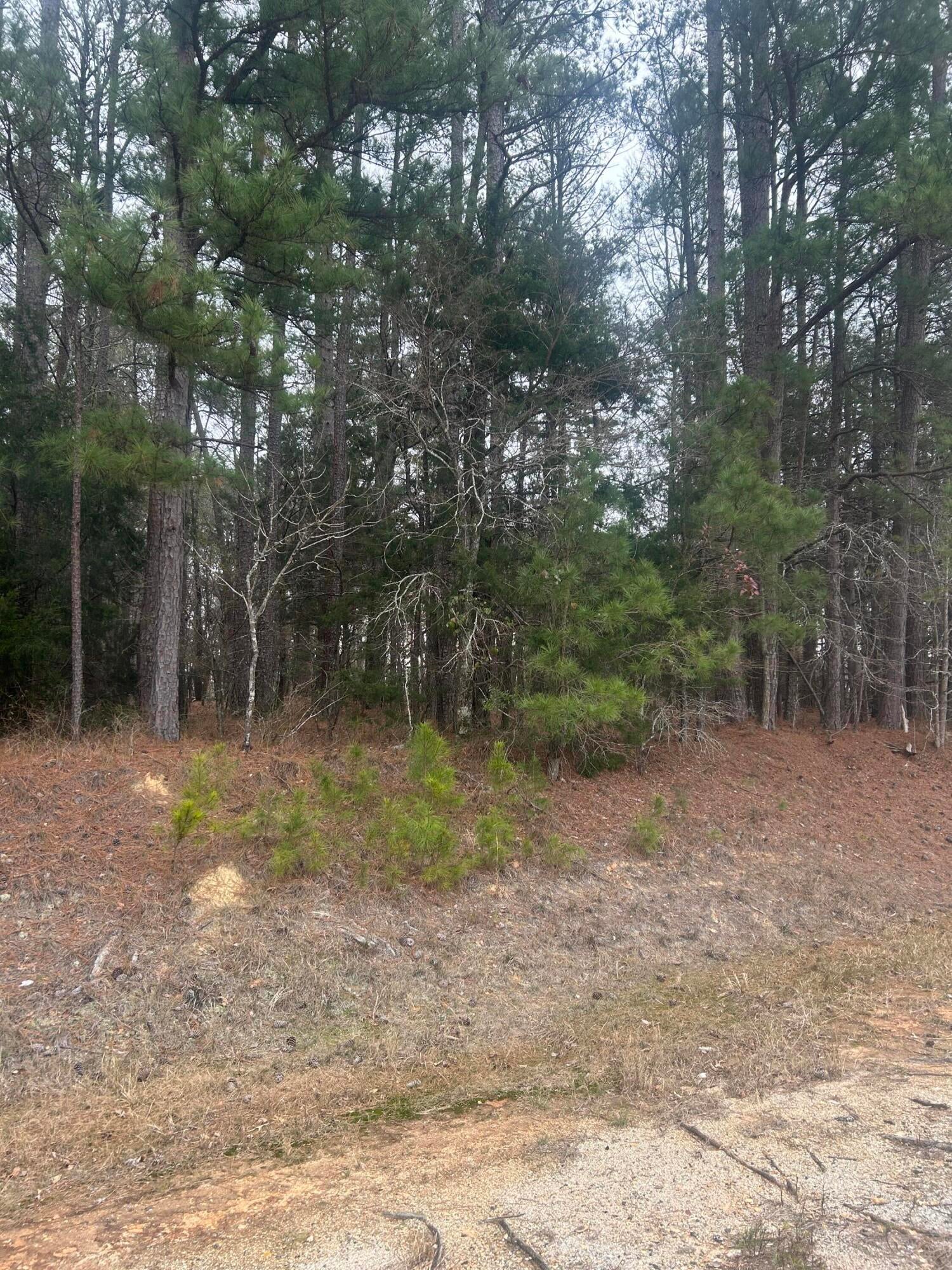 16.9 Ac Hwy 220 E