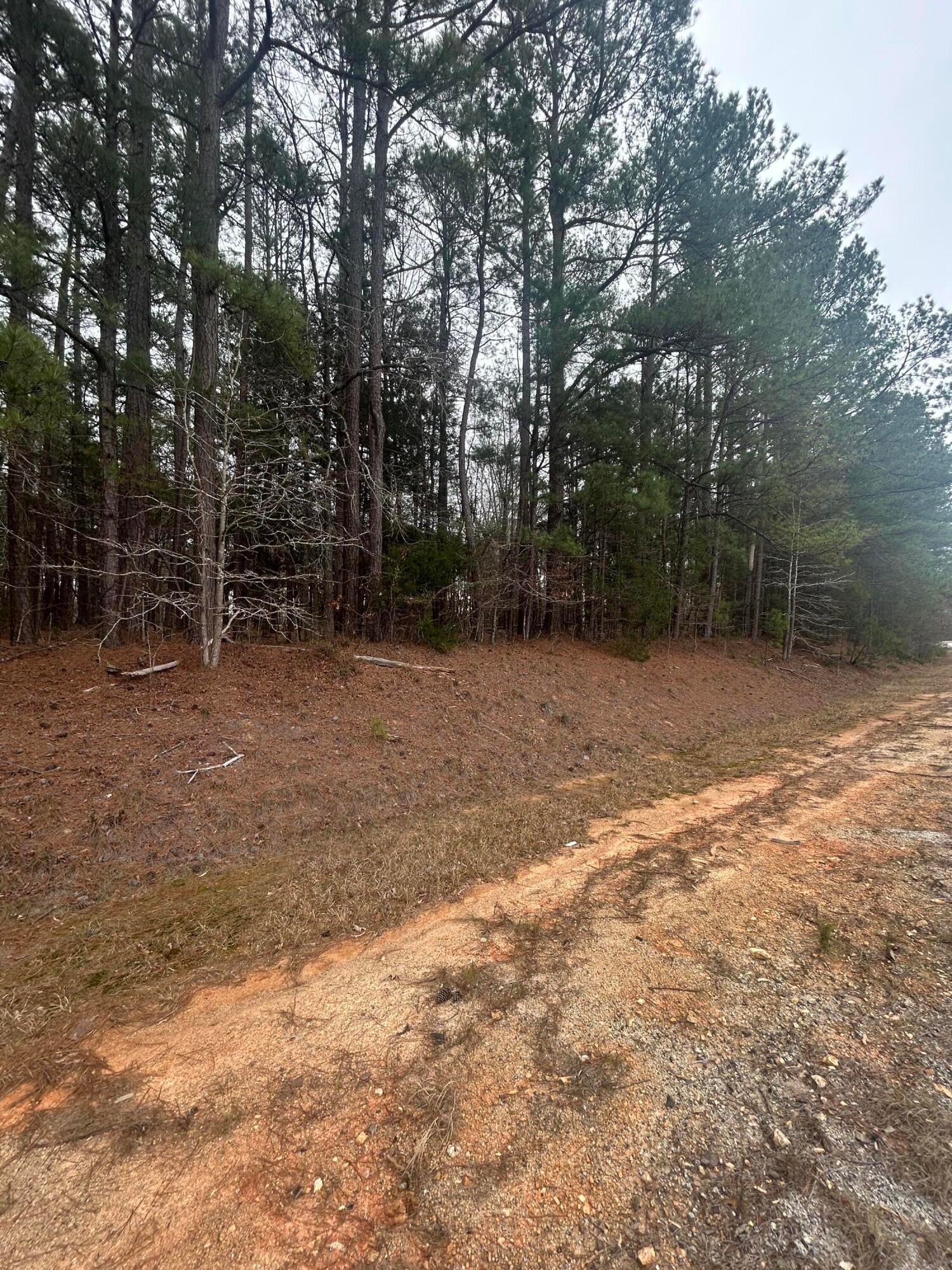 16.9 Ac Hwy 220 E
