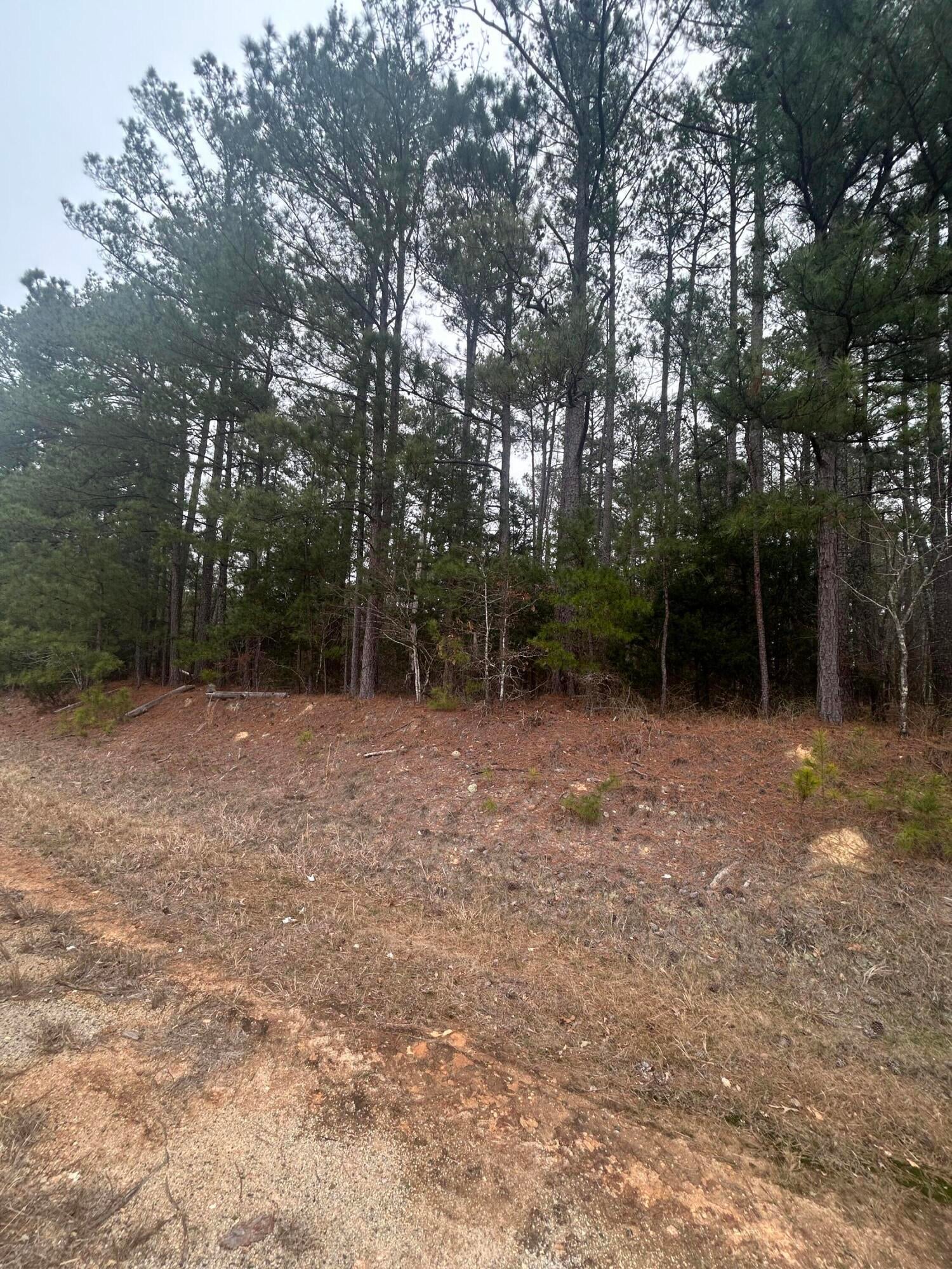 16.9 Ac Hwy 220 E