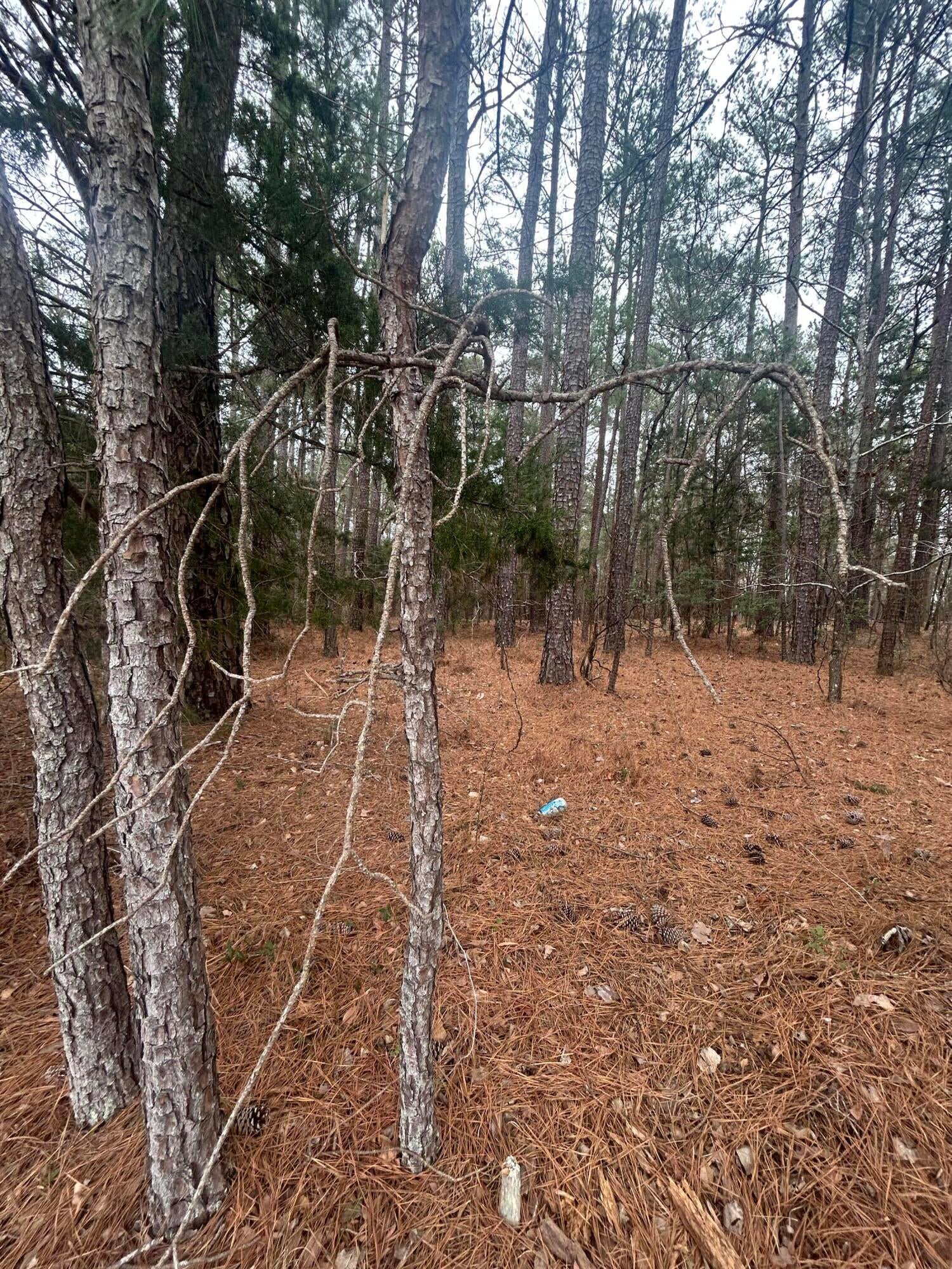 16.9 Ac Hwy 220 E