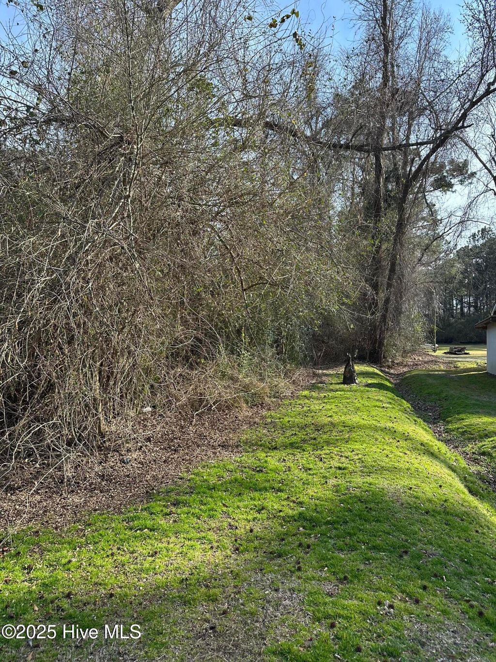 Photo of 186 Verona Road, Jacksonville, NC 28540 (MLS # 100491125)