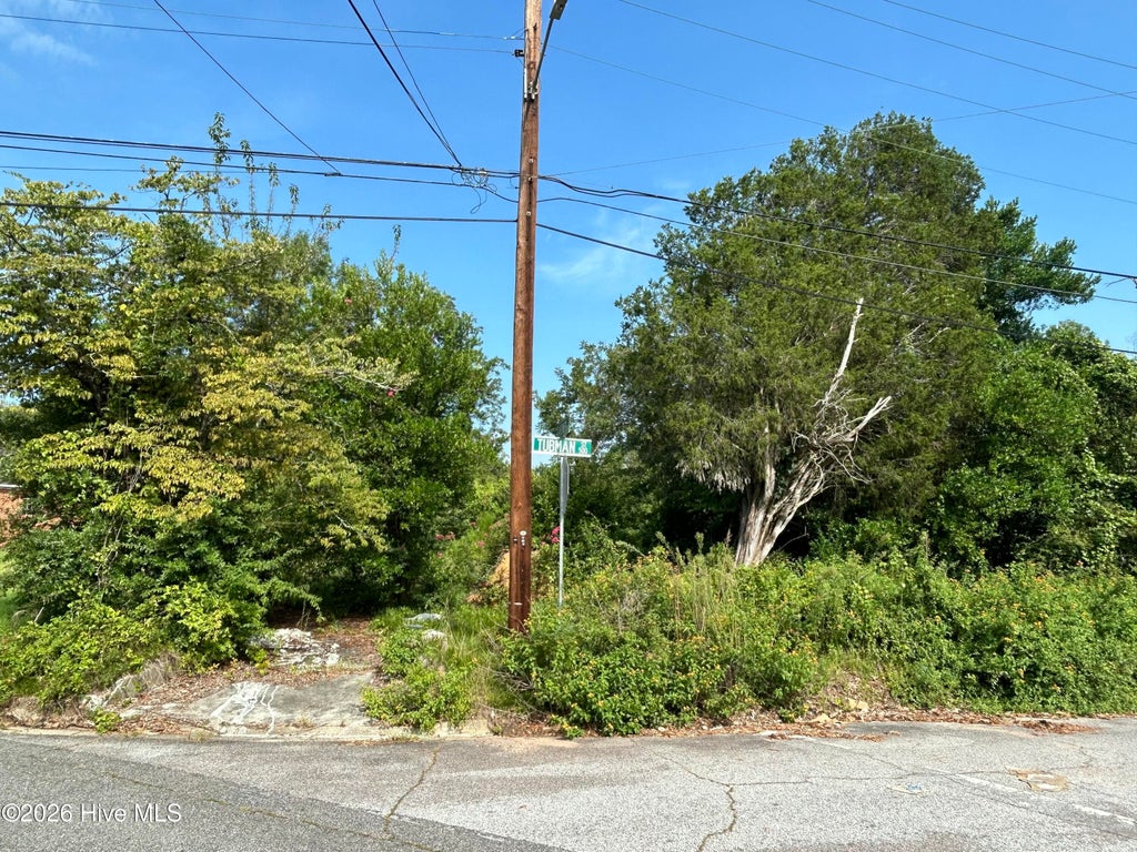 Photo of 555 Tubman Street, Augusta, GA 30904 (MLS # 100597646)