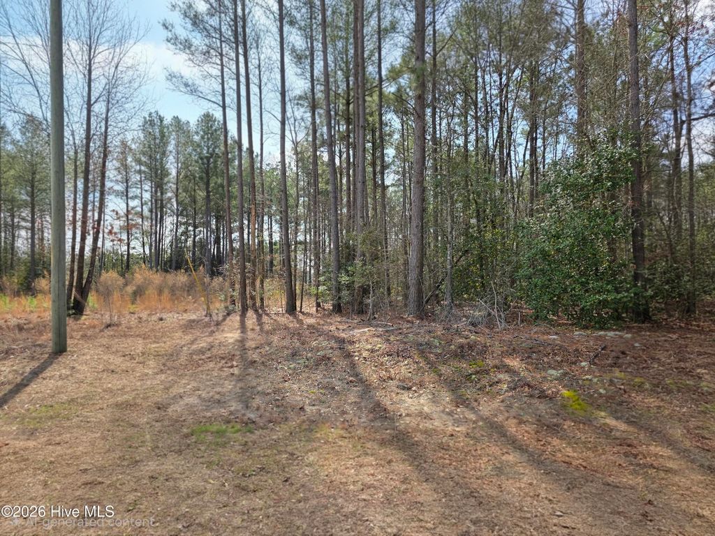Photo of 275 Raynor Sands Drive, Dunn, NC 28334 (MLS # 100558910)