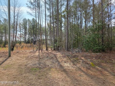 Vacant Land For Sale - 275 Raynor Sands Drive<br/> Johnston County, Dunn, NC 28334