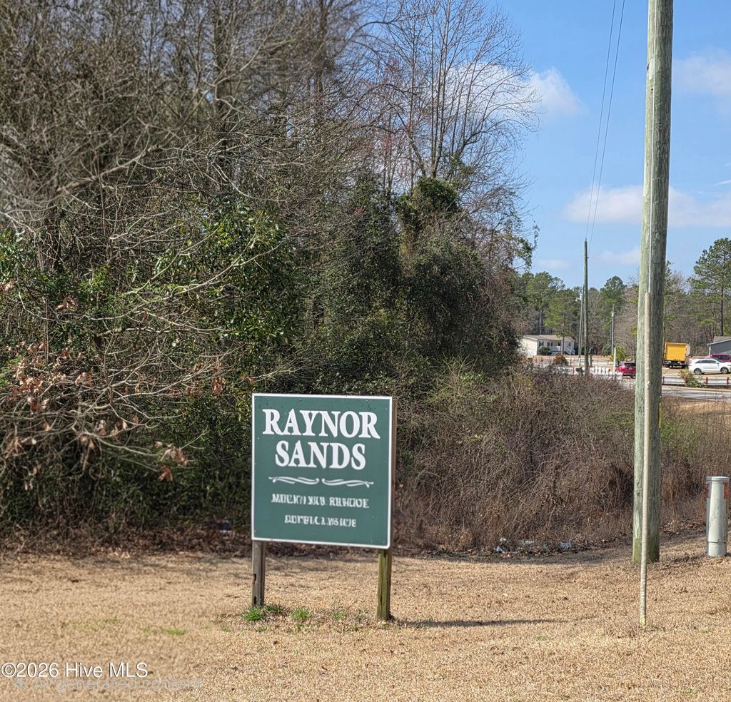 Photo of 275 Raynor Sands Drive, Dunn, NC 28334 (MLS # 100558910)