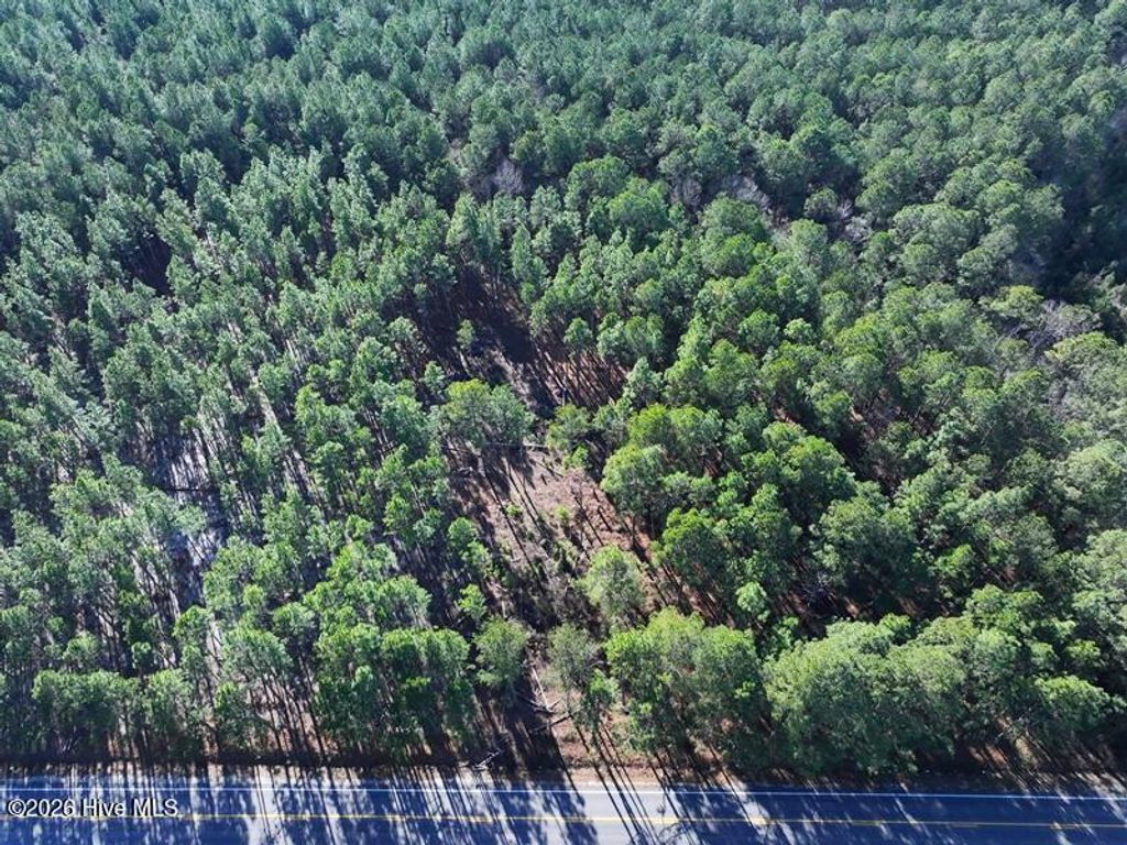 Photo of Tbd Nc Hwy 130 Road, Fairmont, NC 28340 (MLS # 100551130)