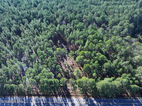 Vacant Land For Sale - TBD Nc Hwy 130 Road<br/> Fairmont, NC 28340