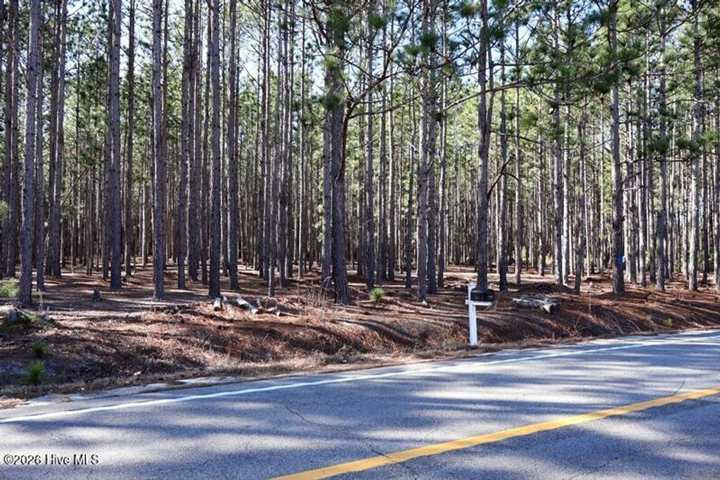 Photo of Tbd Nc Hwy 130 Road, Fairmont, NC 28340 (MLS # 100551130)