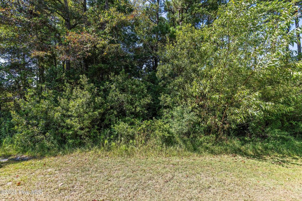 Photo of 2643 Nags Head Road SW, Supply, NC 28462 (MLS # 100532622)