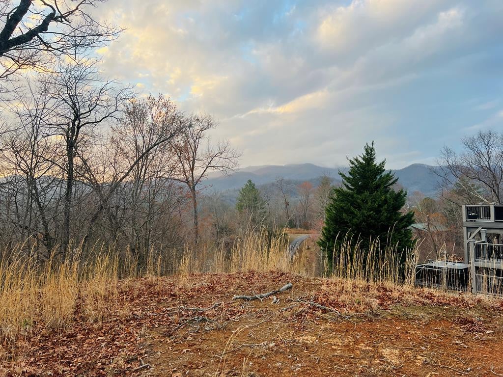 Photo of 00 Aster Trail, Marble, NC 28905 (MLS # 100603624)