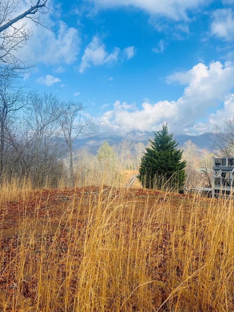 Photo of 00 Aster Trail, Marble, NC 28905 (MLS # 100603624)