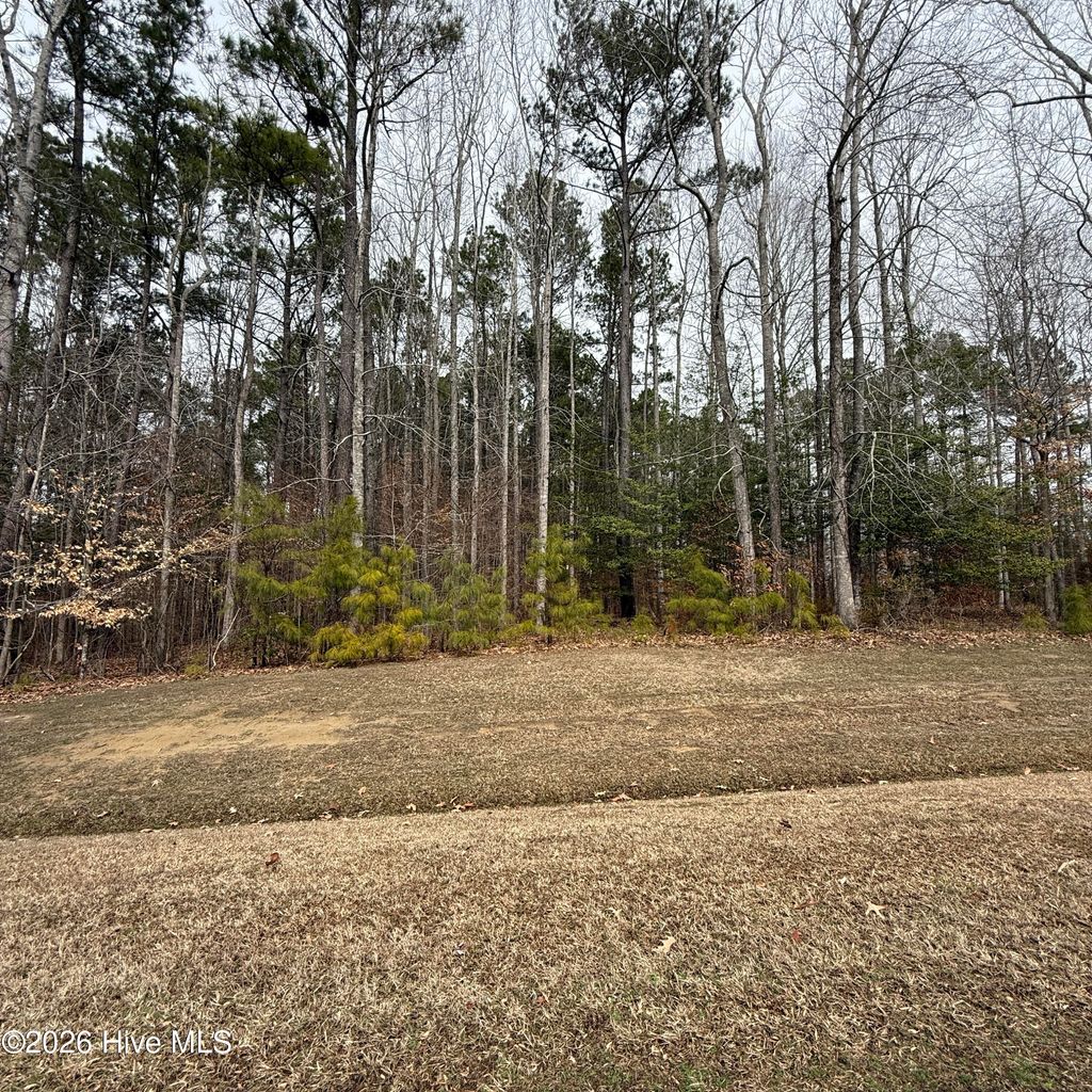 Photo of 27 Suttons Landing Road, Hertford, NC 27944 (MLS # 100563000)