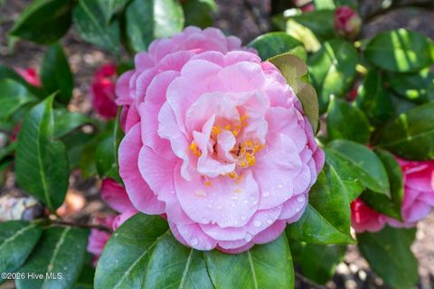 Tiny photo for 109 Wayne Drive, Wilmington, NC 28403 (MLS # 100565544)