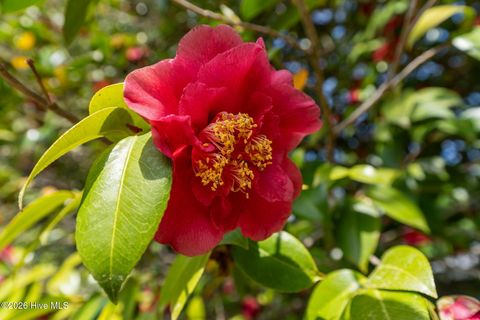 Tiny photo for 109 Wayne Drive, Wilmington, NC 28403 (MLS # 100565544)