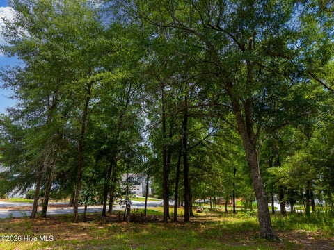 Tiny photo for 3627 White Cliffs Drive, Castle Hayne, NC 28429 (MLS # 100586051)