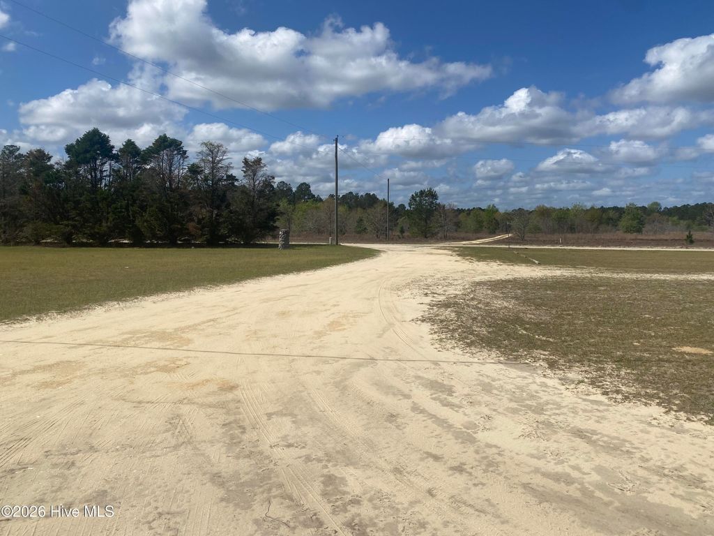 Photo of 37 River Ridge Lane, Harrells, NC 28444 (MLS # 100569502)