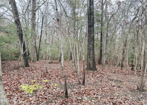 Tiny photo for 1312 Fairbanks Court, Jacksonville, NC 28546 (MLS # 100544373)