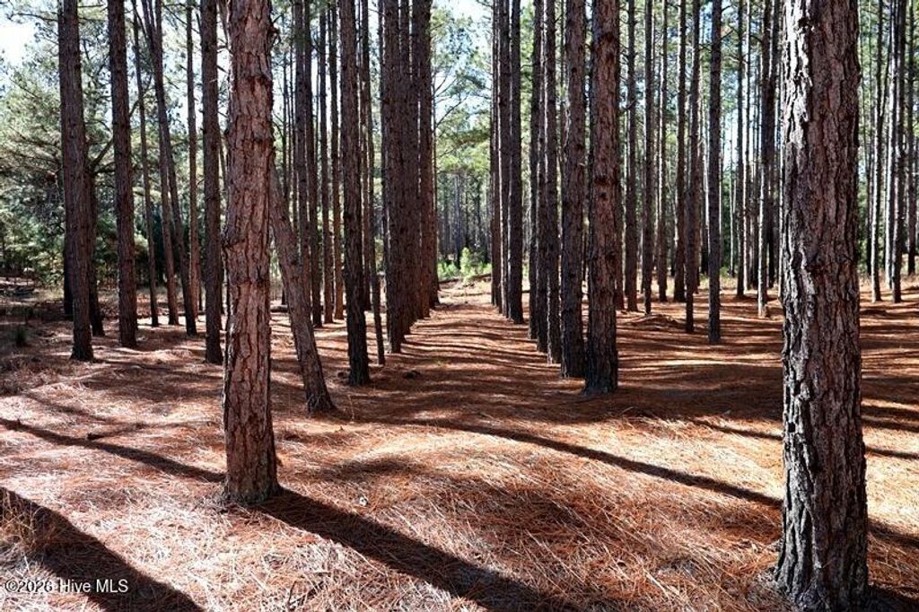 Photo of Tbd Stuarts Mill Road, Fairmont, NC 28340 (MLS # 100551140)