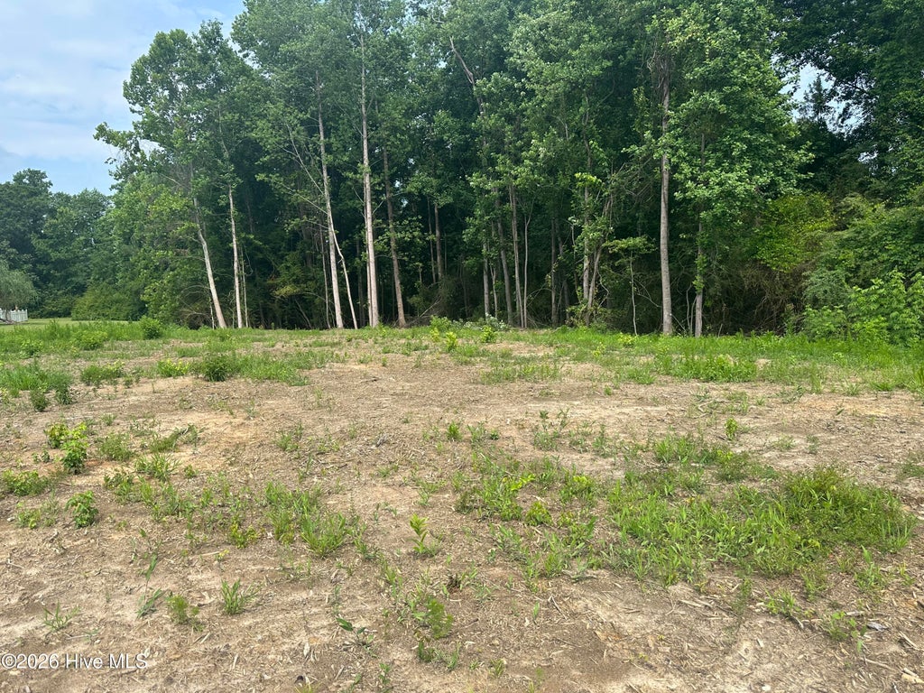 Photo of 359 Whites Crossing Lane, Whiteville, NC 28472 (MLS # 100580245)