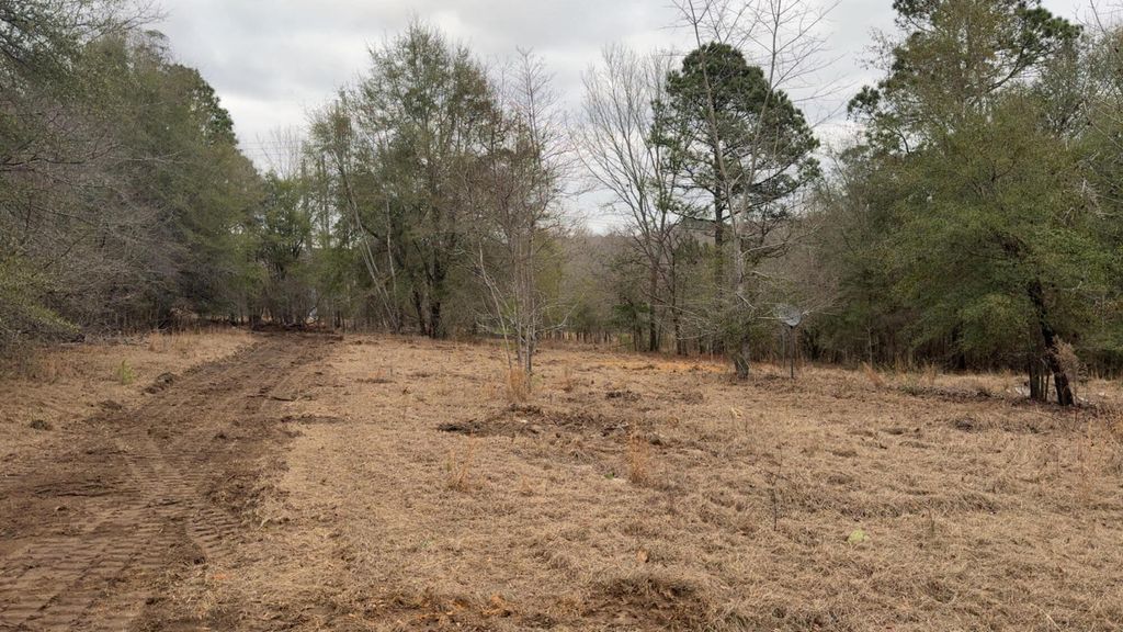 Photo of 223 Ridge Road, Waynesboro, GA 30830 (MLS # 553439)