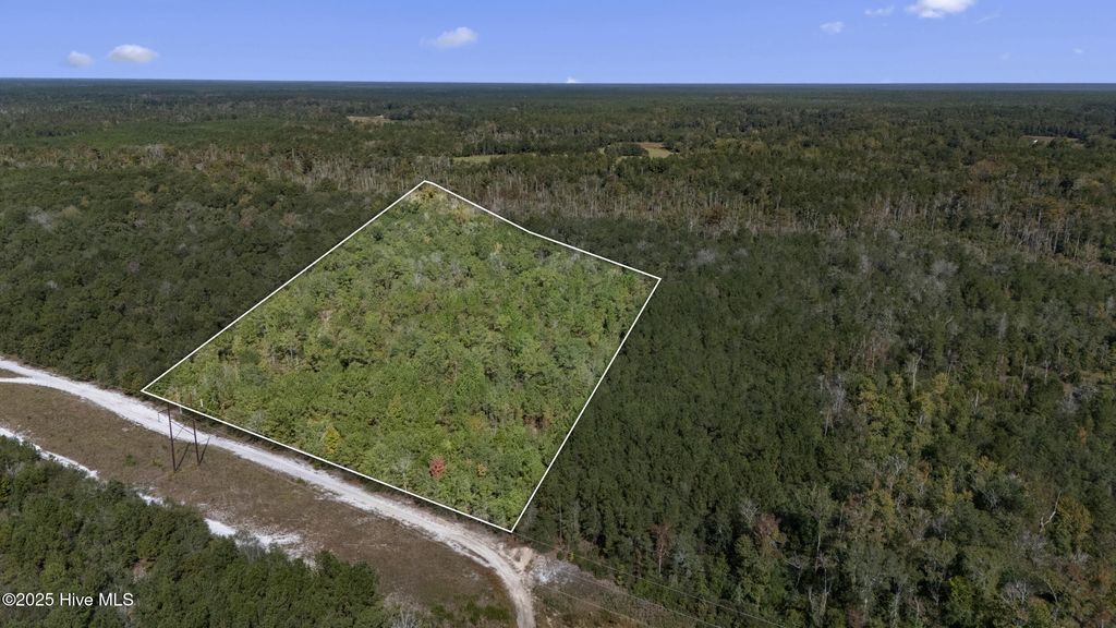 Photo of 0 Green Swamp Rd Nw Road NW, Supply, NC 28462 (MLS # 100536371)