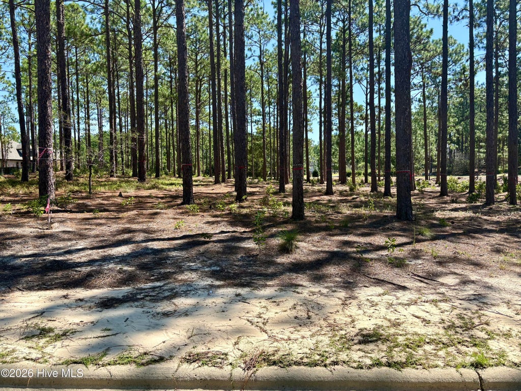 Photo of 10 Cumberland Drive, Pinehurst, NC 28374 (MLS # 100603136)