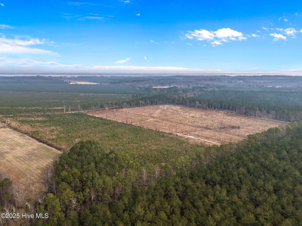 Photo of 0 Windmill Road, Chocowinity, NC 27817 (MLS # 100546470)