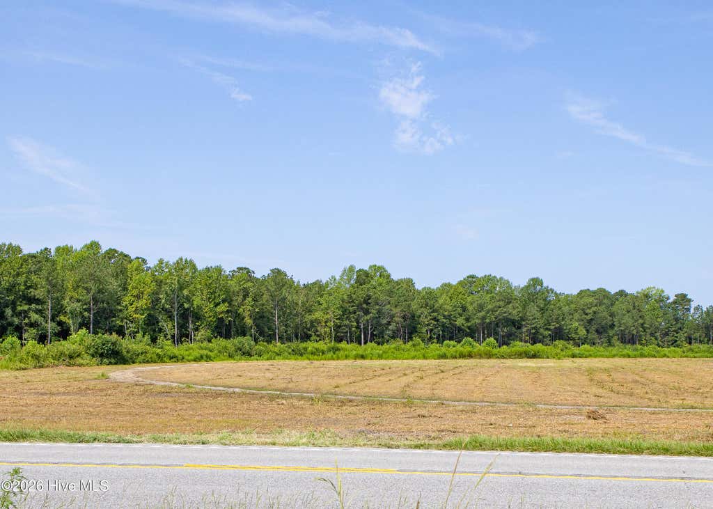 Photo of 8610 Joe Brown Highway S, Clarendon, NC 28432 (MLS # 100596785)