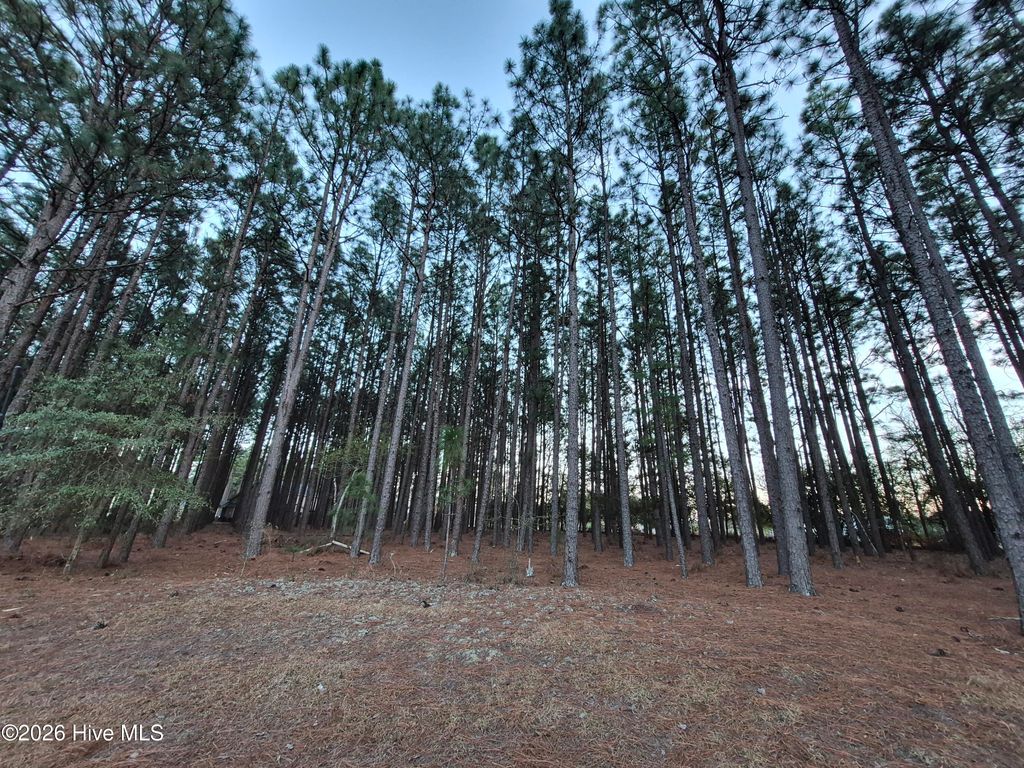Photo of 3 Milla Court, Jackson Springs, NC 27281 (MLS # 100560478)