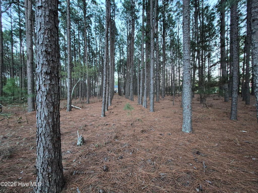 Photo of 3 Milla Court, Jackson Springs, NC 27281 (MLS # 100560478)