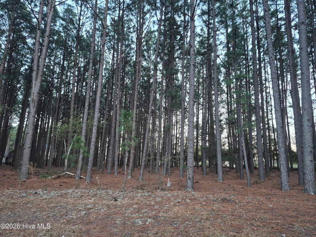 Photo of 3 Milla Court, Jackson Springs, NC 27281 (MLS # 100560478)