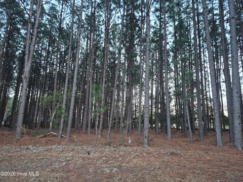 Vacant Land For Sale - 3 Milla Court<br/> Jackson Springs, NC 27281