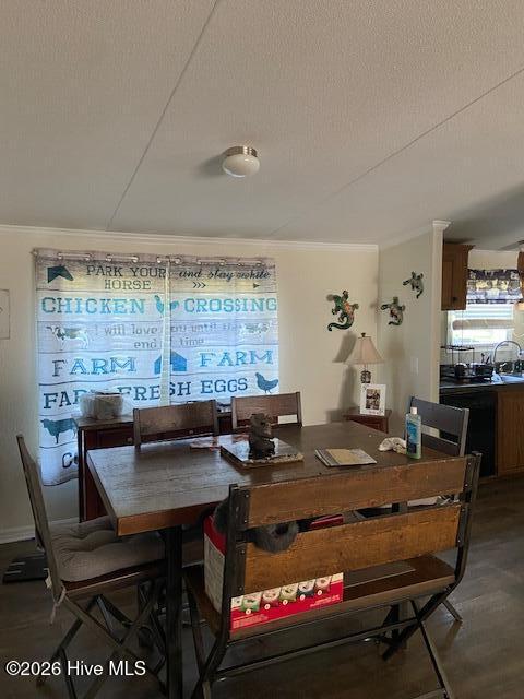 Photo of 63 Windfield Drive, Lumber Bridge, NC 28357 (MLS # 100606333)