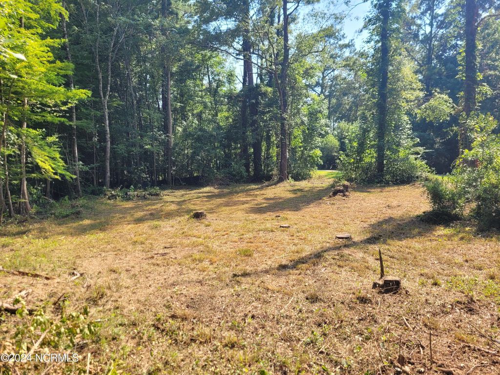 Photo of 454 Creekview Lane SE, Leland, NC 28451 (MLS # 100553258)
