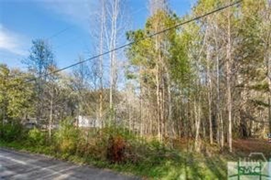 Photo of 0 Marie, Lot 2 Marie Avenue, Midway, GA 31320 (MLS # SA352826)