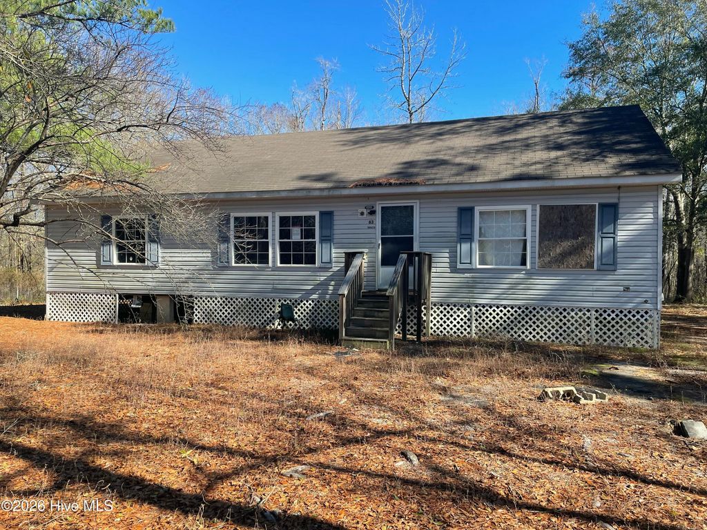 Photo of 63 George Washington Hales Drive, Atkinson, NC 28421 (MLS # 100550332)