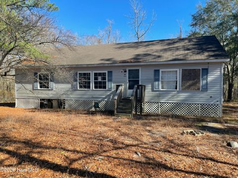 Photo of 63 George Washington Hales Drive, Atkinson, NC 28421 (MLS # 100550332)
