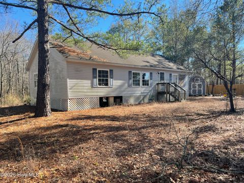 Tiny photo for 63 George Washington Hales Drive, Atkinson, NC 28421 (MLS # 100550332)