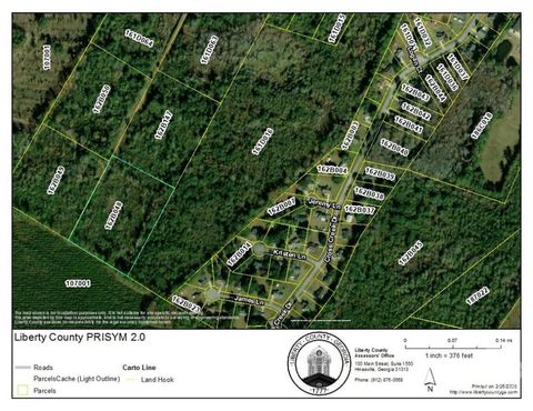 Vacant Land For Sale - E Oglethorpe Highway<br/> Midway, GA 31320